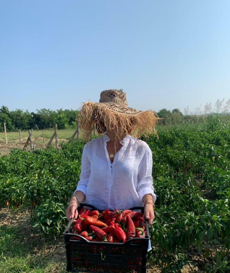 Agroturizem Gjepali Shijak Exterior foto